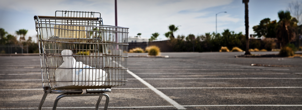 shopping-cart