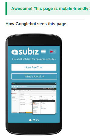 subiz mobile friendly test result