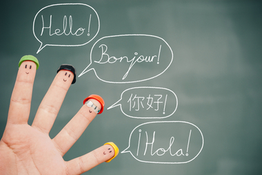Why and How Should Your Website Speak Your Customer’s Language?