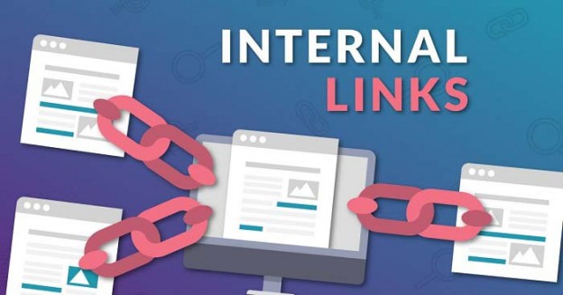 internal link la gi?